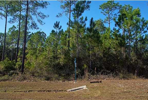 3rd image of Palm Breeze Way