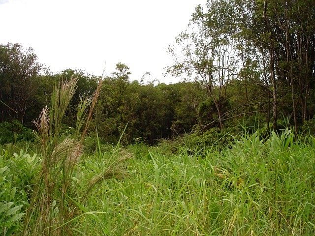 2nd image of Road 5 Lot 295