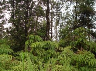 Road 4, Mountain View, HI 96771