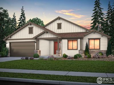 981 Hummocky Way, Windsor, CO, 80550
