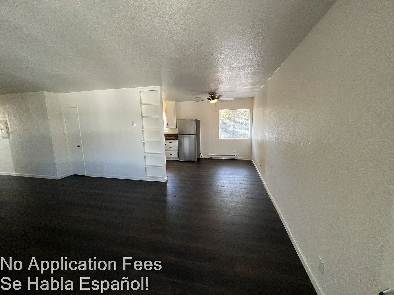 3934 Lugo — Photo 2