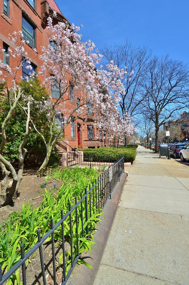 Building Photo - 400 Marlborough St #52