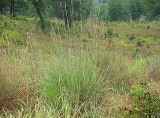 River Parking Park, Salem, AR 72576