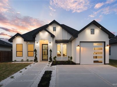 10924 N Baylie Bear Dr, Edinburg, TX, 78541