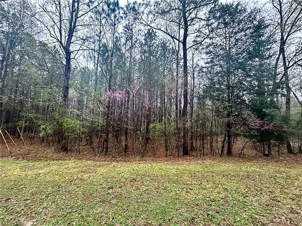 0 Walker Mountain Rd SW #308 photo 1