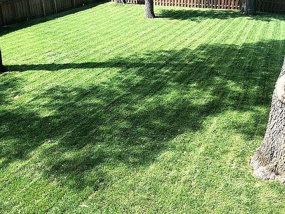2nd image of 1015 101st Ln NE