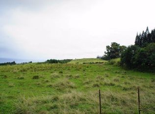 LOT 27 Lot 27, Laupahoehoe, HI 96764