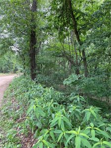 LOT 429 Arabian Dr, Rogers, AR, 72756