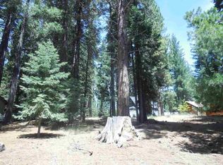 616 Deepforest Trl, Westwood, CA 96137