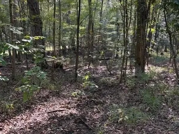 1524 Us Highway 82, Eufaula, AL 36027