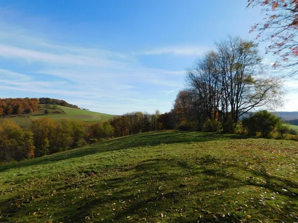286B Heishman Dr, Eglon, WV 26716