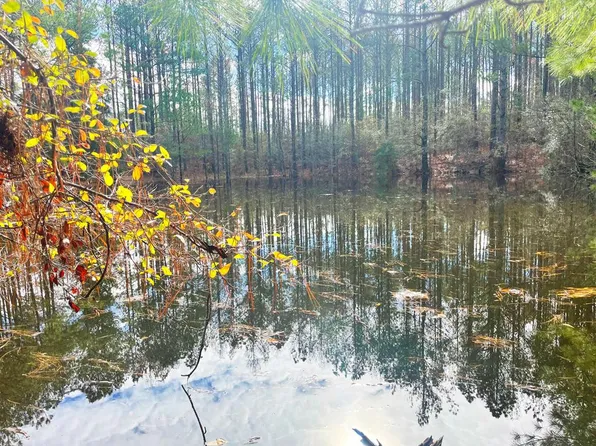 0 Whitetown Ln, Hazlehurst, MS 39083