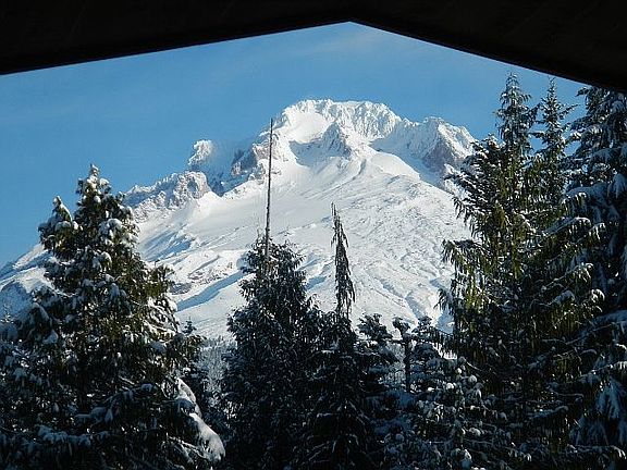 View from Great Room!!