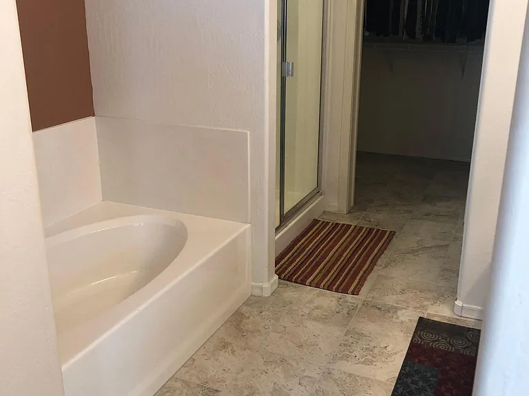 Master bathroom