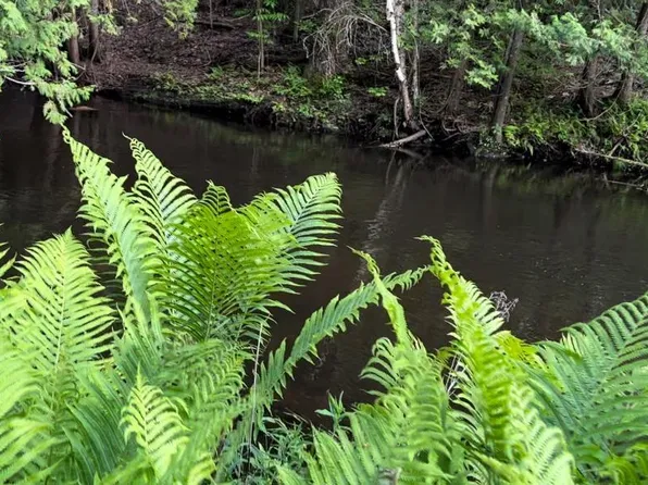 LOT 13 Columbus Dr, Farwell, MI 48622