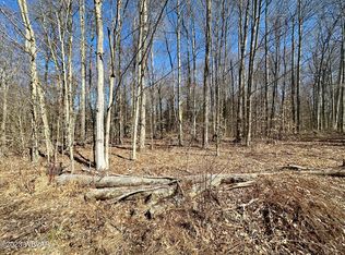 Beech Ridge Rd, Trout run, PA 17771