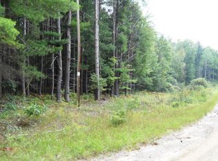 Roosevelt Rd, Remus, MI 49340