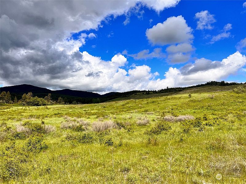 3rd image of 0 TBD Big Goosmus Crk Road