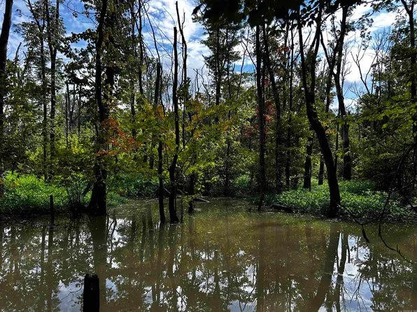 (undisclosed Address), Cotton Plant, AR 72036