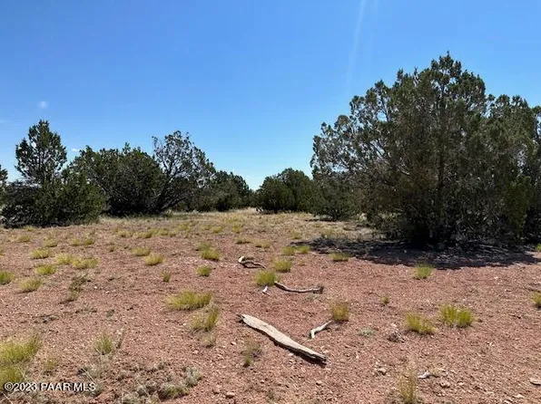 340N Dusty Rose Rd, Seligman, AZ 86337