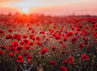 7826 Dunn Rd, Godwin, NC 28344