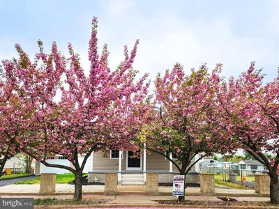 715 Kossuth St, Riverside, NJ, 08075