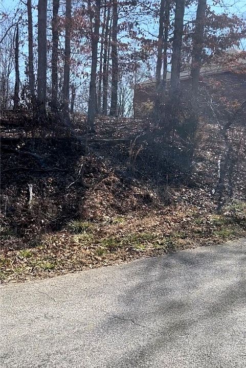 1st image of L9-B5 S Cheshnut Dr #9