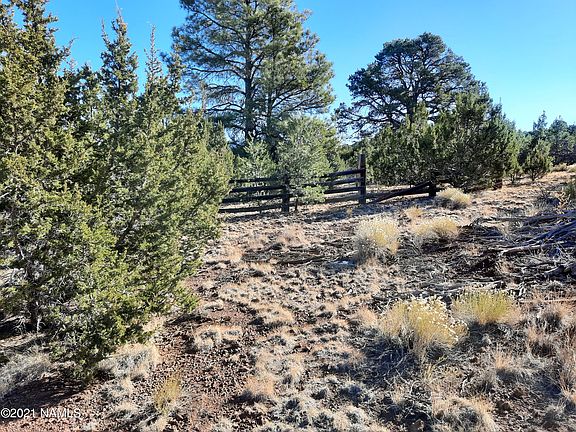 5th image of 7141 N Noel Way