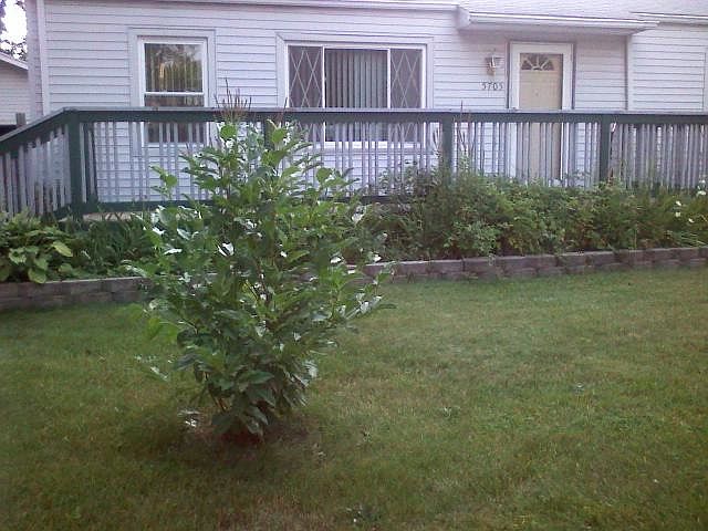 1st image of 5705 N Crown St