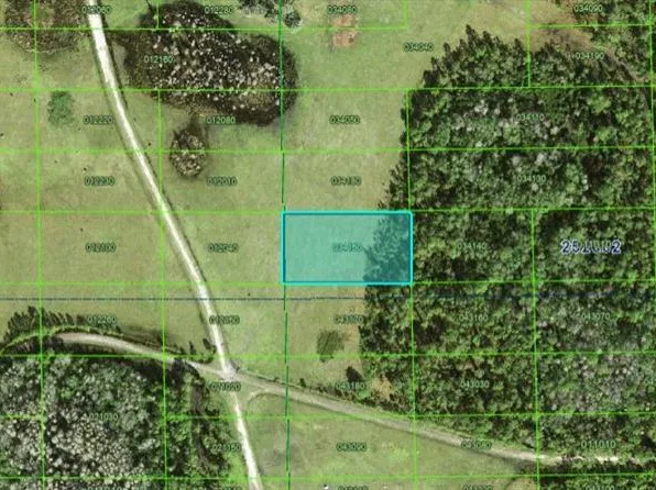 Deen Still Rd Lot 260, Polk City, FL 33868