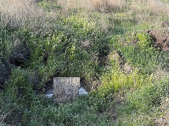 4th image of 79 Vrieling Rd