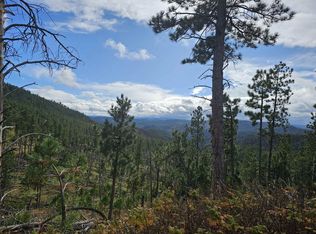 11730 Divide Rd, Hill City, SD 57745