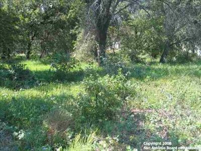 4210 Waterwood Pass LOT 3, Elmendorf, TX, 78112