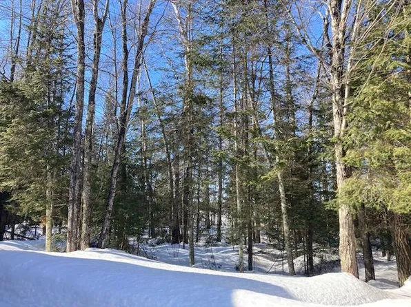 0 Walter Dr, Woodruff, WI 54568