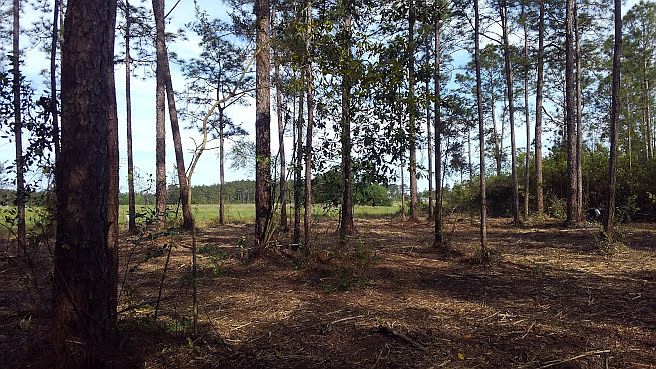 1st image of 11948 Oak Hollow Dr