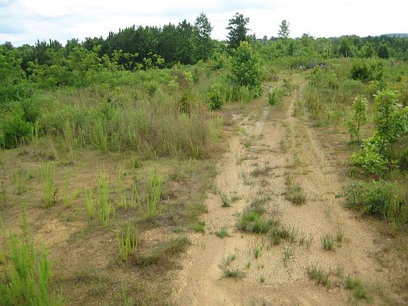 3rd image of 0 County Road 775