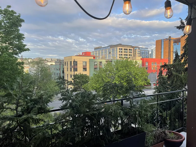 View to the East from the deck.