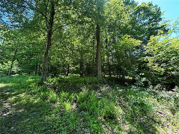 4th image of 3344 Mountain Rd