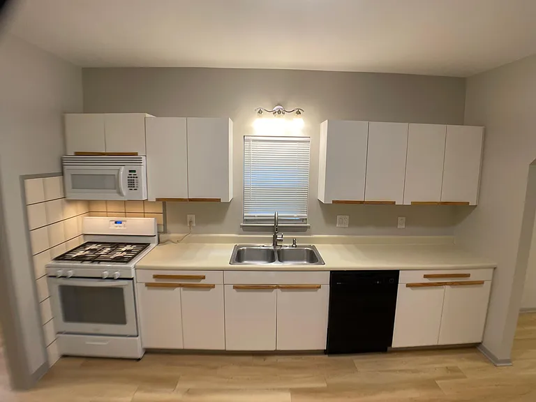 217 Chestnut St — Photo 2