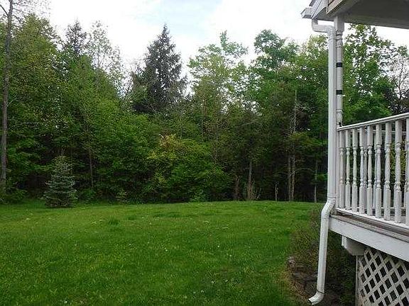 from the left side back yard view