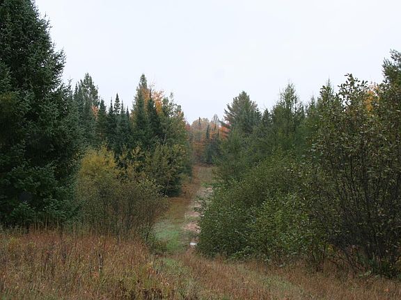 2nd image of 17 Acreage Hwy