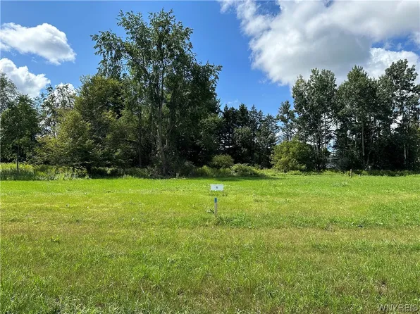 7 Tanglewood Development, Allegany, NY 14706