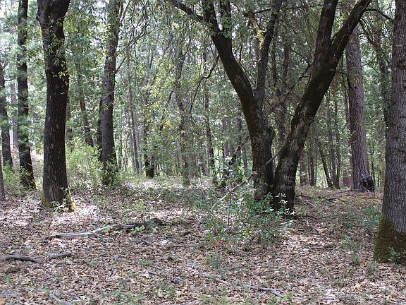 4.36 Acres