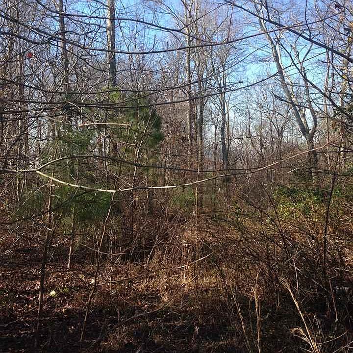 2nd image of 166 County Rd