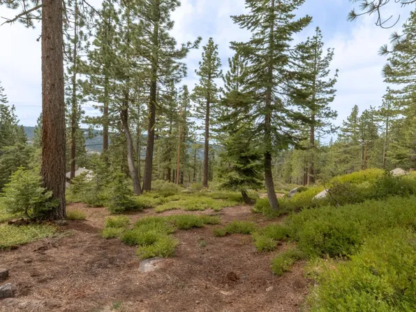 1315 Skyline Dr, Tamarack Ca, CA 95223