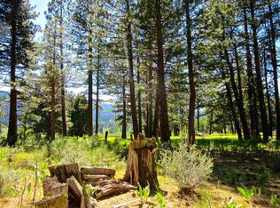 525 Redtail Loop Rd, Clio, CA 96106