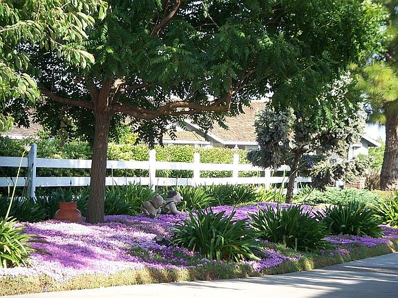 East garden next to driveway
