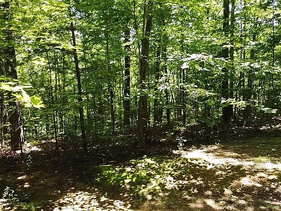 3rd image of LOT 45 Patriot Ln