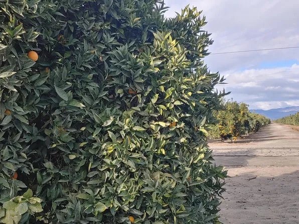 00 Avenue 314, Exeter, CA 93221