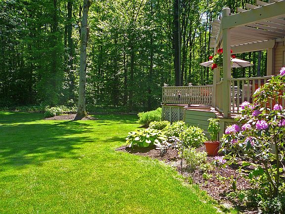 Back Yard privacy